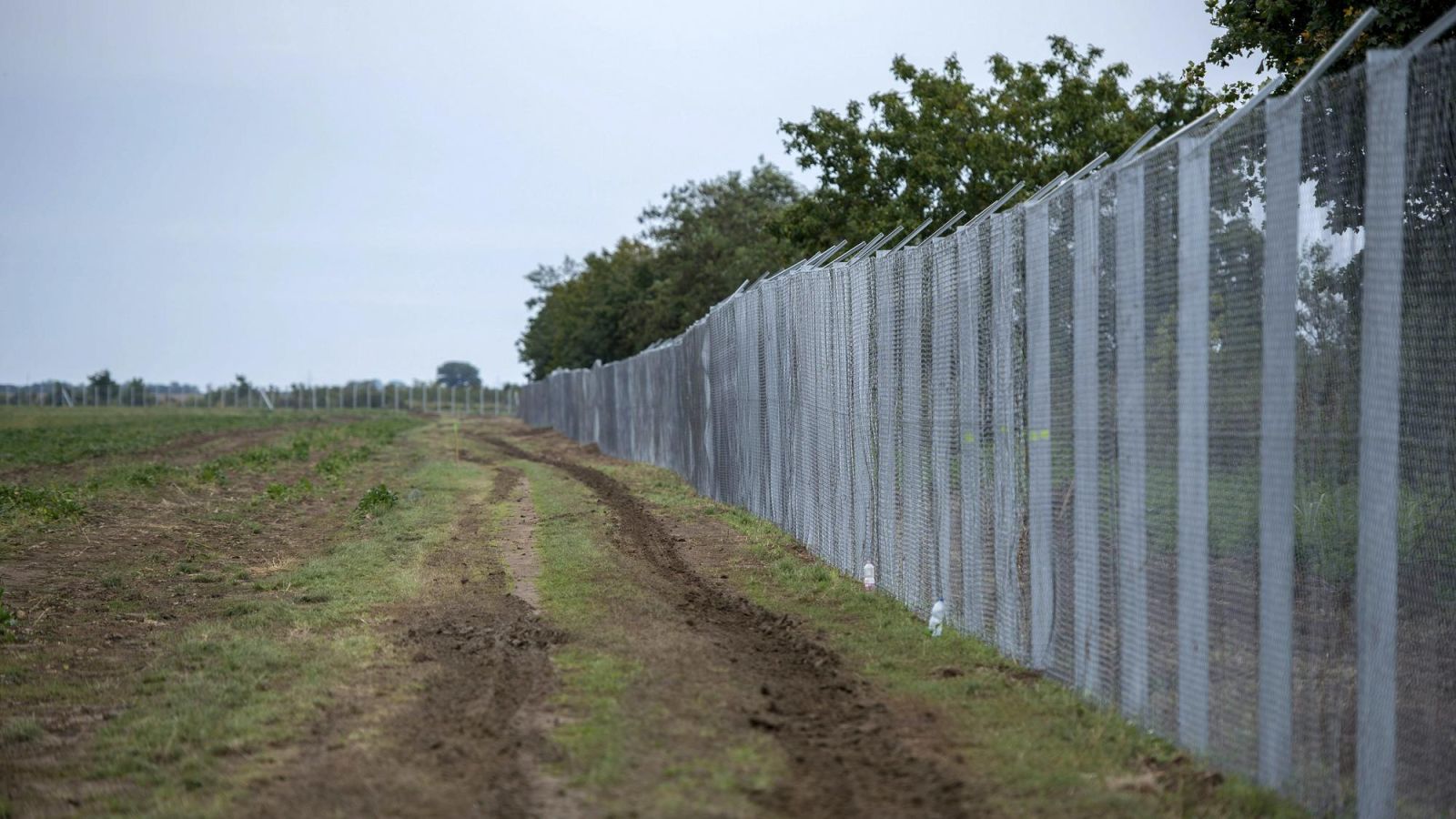 Maďarskí policajti hliadkujú na hraniciach spolu so srbskými