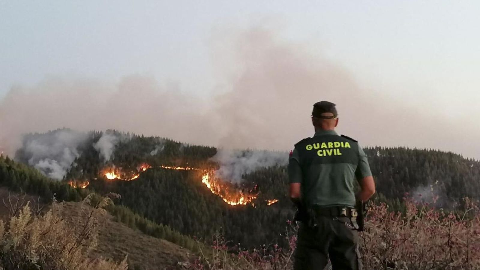 Na východe Španielska vypukol lesný požiar